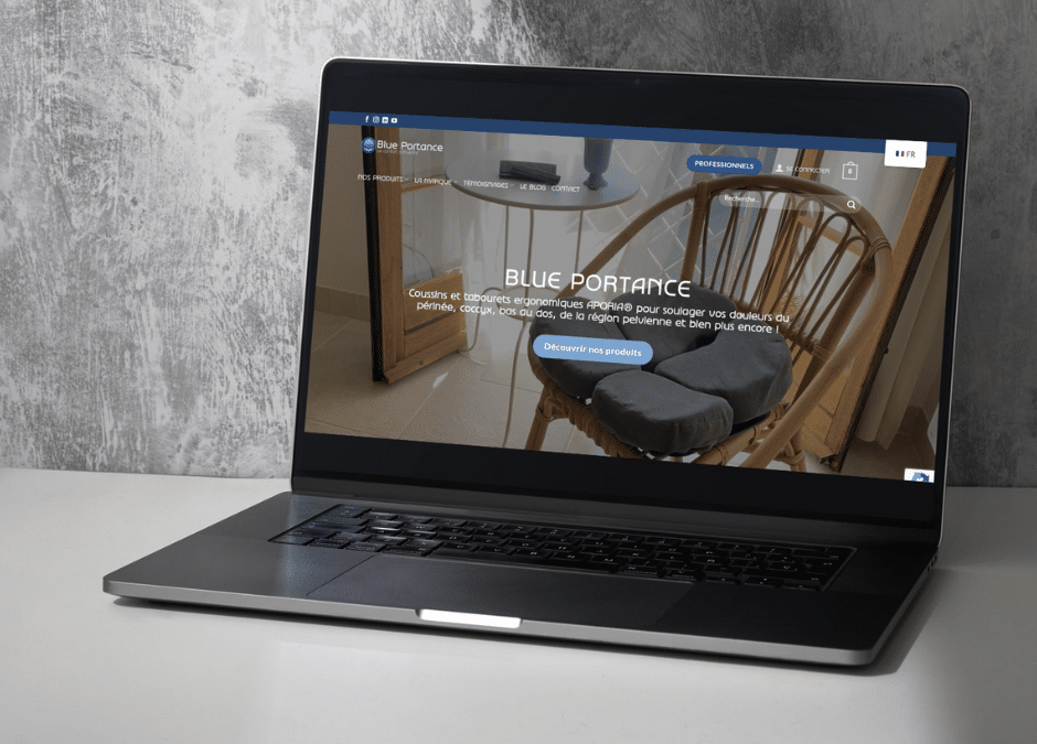 Création d’un site vitrine pour Blue Portance